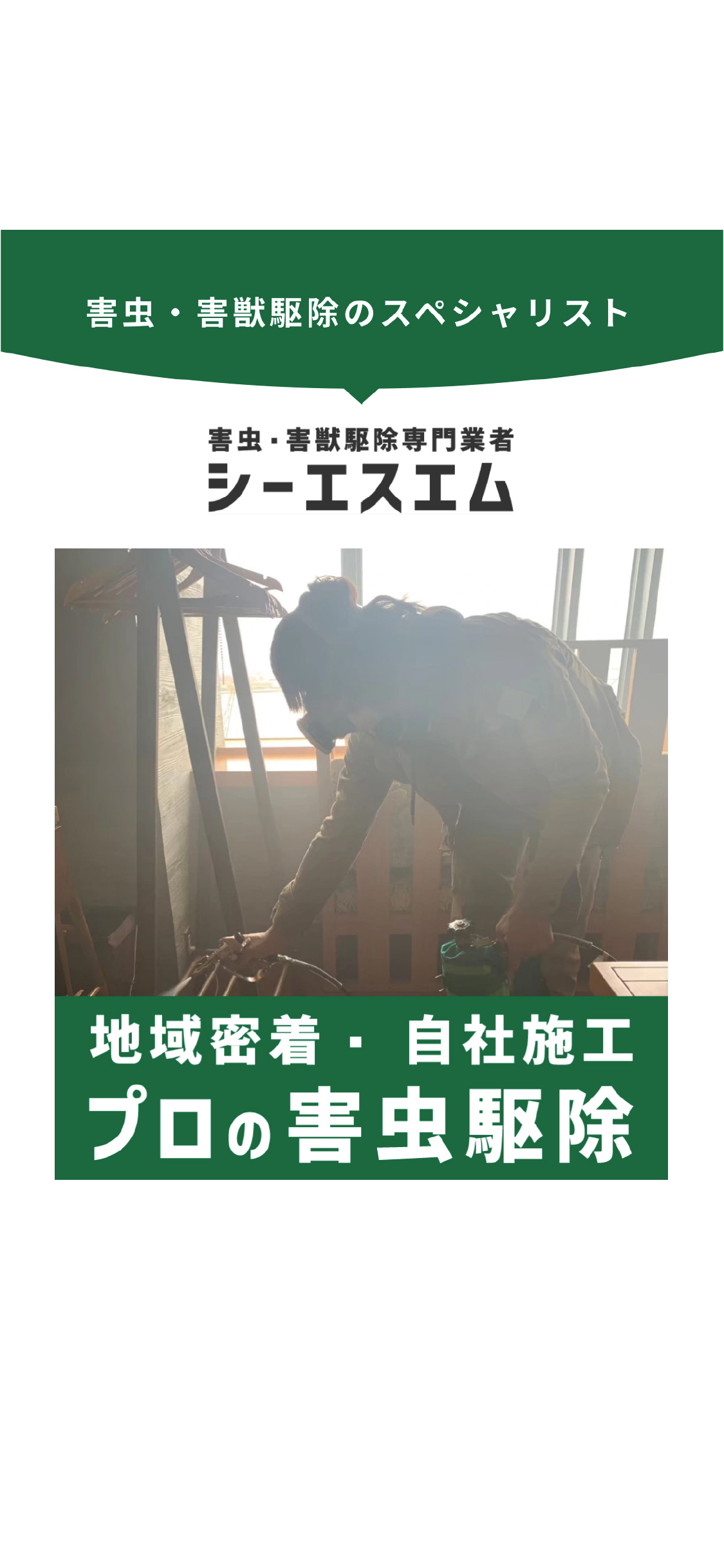 マルシン自動車激安の秘密