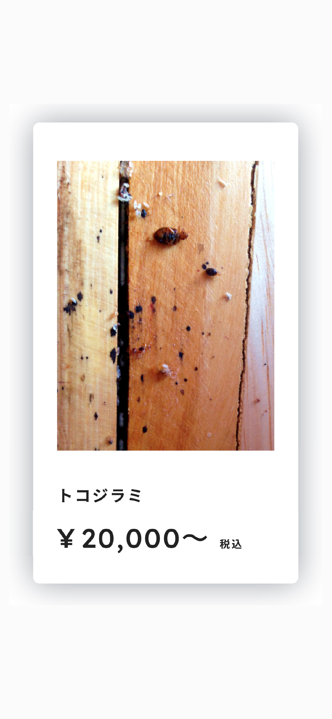 不要なオプションはつけません